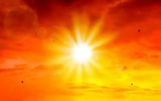 Wp Header Logo 2228.png