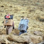 تصمیم مهم دولت درباره کولبری و ته‌لنجی