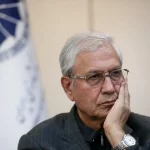ربیعی: دولت به تنهایی نمی‌تواند جامعه را تاب‌آور کند