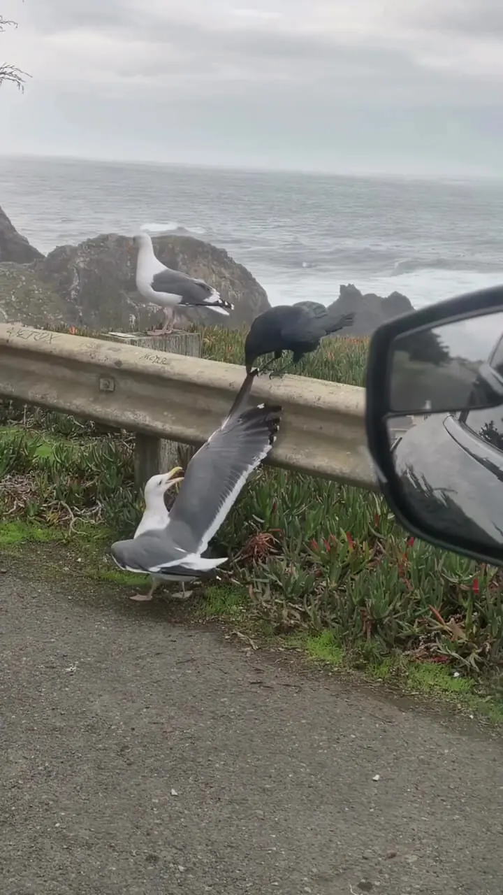 Wp Header Logo 1315.png