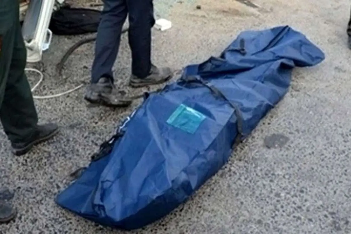 Wp Header Logo 1354.png